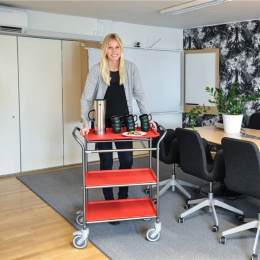 Servierwagen Tablettwagen 3 Böden - 770 x 495 x 960...