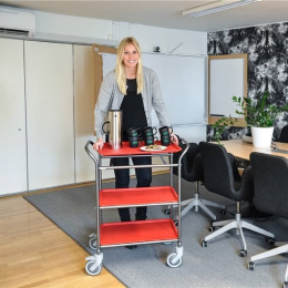 Servierwagen Tablettwagen 3 Böden - 770 x 495 x 960...