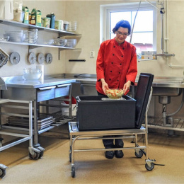 Edelstahl-Plattformwagen LxBxH 880 x 500 x 940 mm, 100 kg, C2