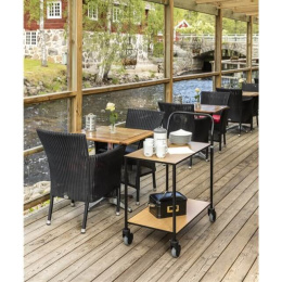 Tischwagen mit 2 Böden 840 x 430 x 970 mm - 150 kg....