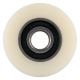 Hubwagen Rolle Polyamid Nylon 80 x 70 mm, Achse 20 mm inkl. Kugellager - Ersatzrolle
